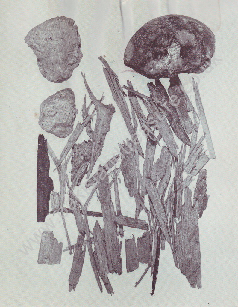 Samples of wood were taken from a shaft discovered on Nolan's property and analysed by radiocarbon dating