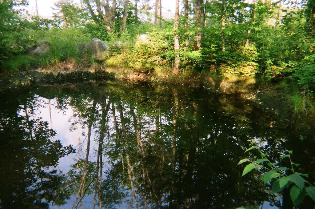 Frog Island Pit, 2008