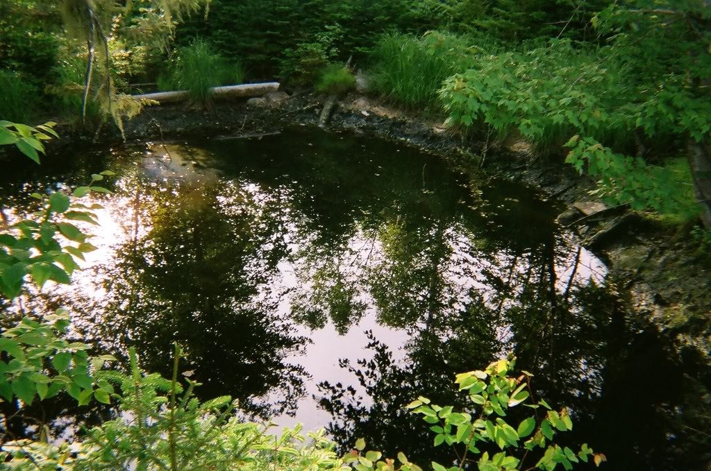 Frog Island Pit, 2008