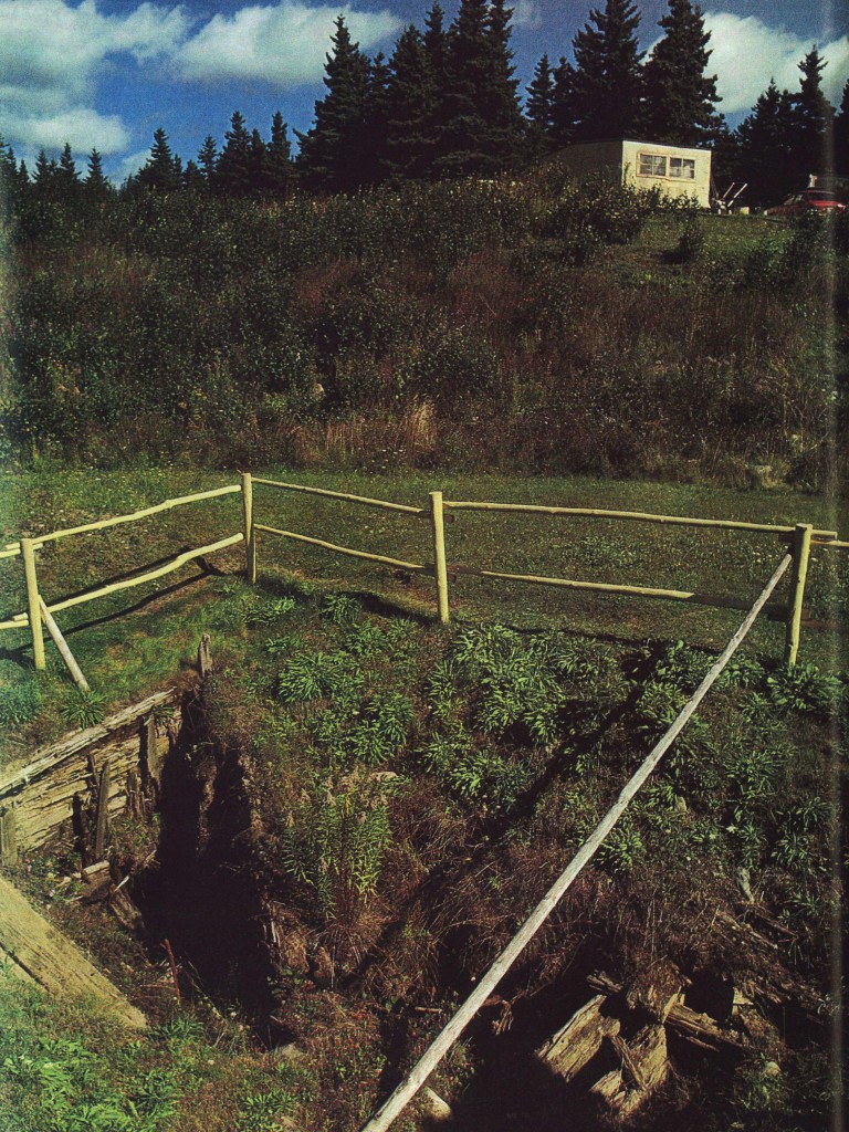 The Money Pit in 1988, from The Smithsonian Magazine article