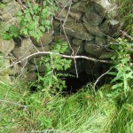 House foundations, Oak Island