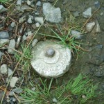 Survey marker, Oak Island