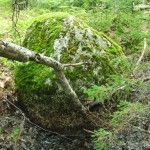 Boulder marking Nolan's Cross, Oak Island