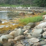 Shoreline, Oak Island