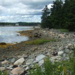 Shoreline, Oak Island