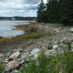 Shoreline, Oak Island