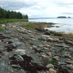 Shoreline, Oak Island