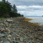 Shoreline, Oak Island