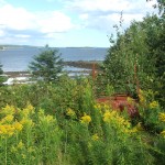 View to Smith's Cove, Oak Island