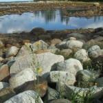 Smith's Cove, Oak Island