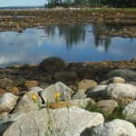 Smith's Cove, Oak Island