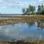 Smith's Cove, Oak Island