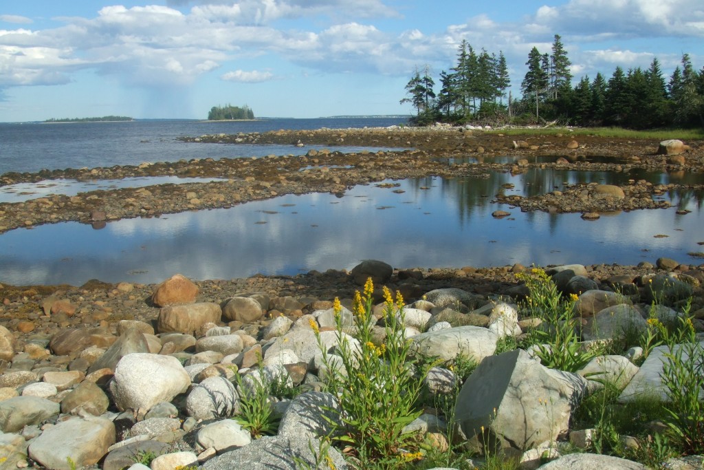 Smith's Cove, Oak Island