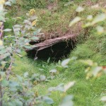 Entrance to the original Money Pit shaft, Oak Island