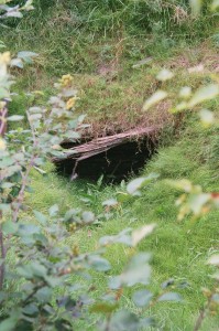 Entrance to the original Money Pit shaft, Oak Island