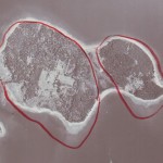 1965 aerial view of Oak Island overlain with probable size of two islands 400 years ago