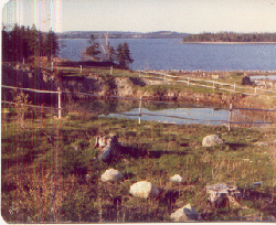 The Oak Island Cave In Pit