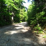 Central road, Oak Island