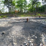 Newly cleared woodland and drill holes on Oak Island