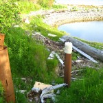 Drill holes at the South Shore, Oak Island