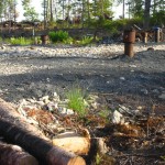 Newly cleared woodland and drill holes on Oak Island