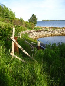 Drill holes at the South Shore, Oak Island