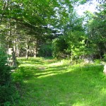 Driveway to Nolan's property, Oak Island