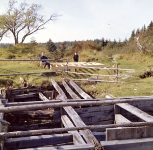 The Money Pit (Hedden and Chappell Shafts) as they appeared in Oct 1959 when the Restalls arrived on Oak Island.