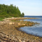 South shore, Oak Island