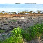 South shore, Oak Island