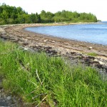 South shore, Oak Island