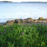 South shore, Oak Island