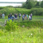 The Money Pit, Oak Island