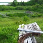 The Money Pit, Oak Island