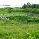 The Money Pit, Oak Island