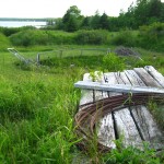 The Money Pit, Oak Island