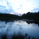 The swamp, Oak Island